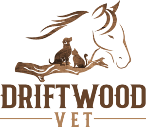 Driftwood Vet LLC Logo